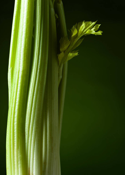 Fresh celery sticks  - Фото, зображення
