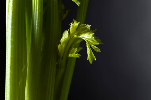 Fresh celery sticks  - Fotoğraf, Görsel