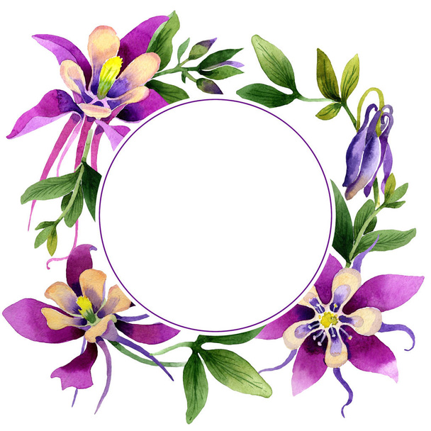 Wildflower orchid flower frame in a watercolor style isolated. - Photo, image