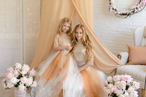 Two beautiful girls in a studio. They wear light beautiful dresses - Fotografie, Obrázek
