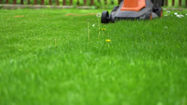 cutting fresh green grass with lawn mower - Footage, Video
