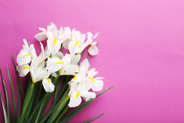 White iris flowers - 写真・画像