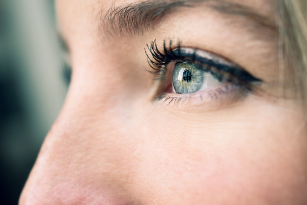 Close-up shot of blue eye of young woman - Photo, Image