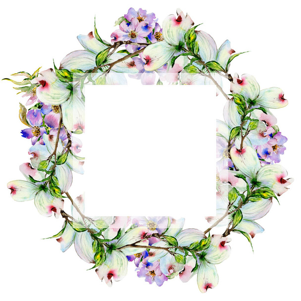 Wildflower dogwood flower frame in a watercolor style isolated. - Photo, Image