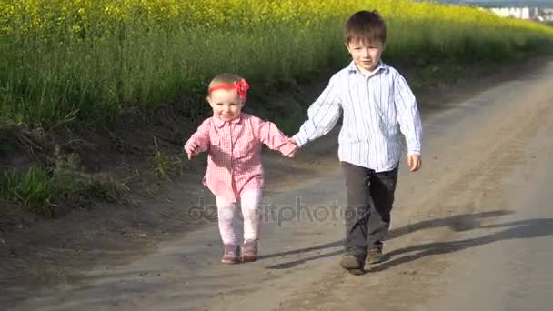 Kleine jongen en meisje lopen op pad in het veld - Video