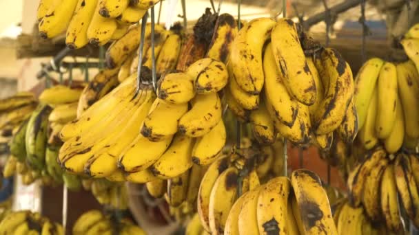 bananas no mercado de frutas
 - Filmagem, Vídeo