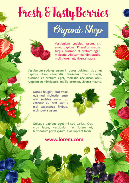 Berries and fruits vector poster for farm shop - Vector, Image