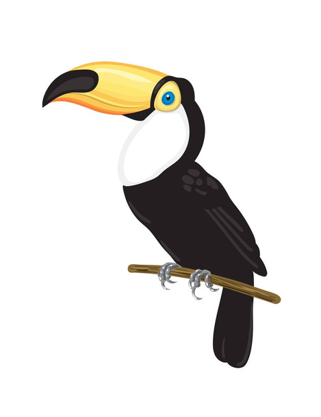 Toucan tropical bird - Vector, Imagen