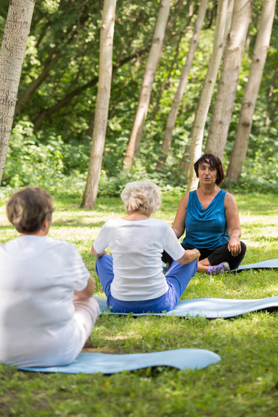 Yoga instructor with seniors outdoors - Foto, Imagen