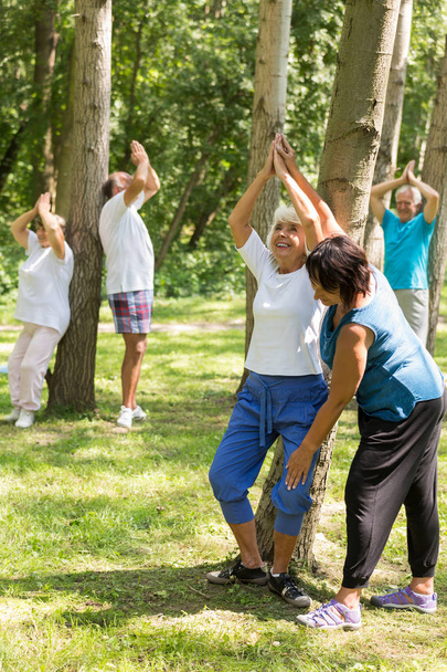 Active seniors working out in a garden - Photo, Image
