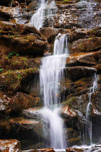 Wodospad w górach. Złota Jesień w regionie Karpaty, Ukraina. Podróży. - Zdjęcie, obraz