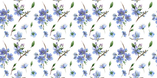 Wildflower cherry flower pattern  in a watercolor style isolated. - Valokuva, kuva