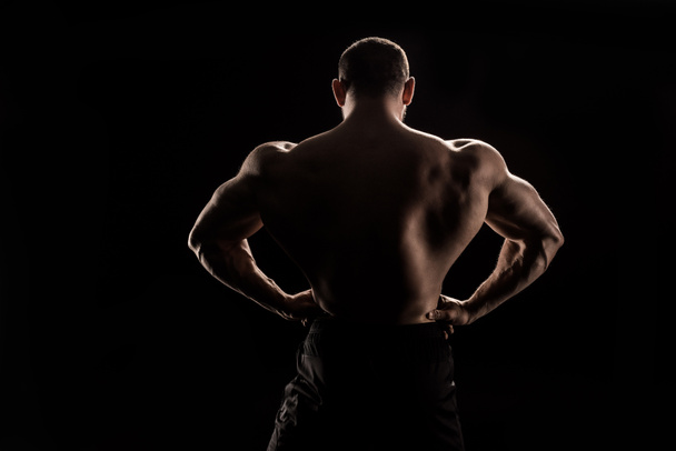 atleta sem camisa flexionando os músculos das costas
 - Foto, Imagem