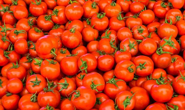 Punaisten tomaattien ryhmä - Valokuva, kuva