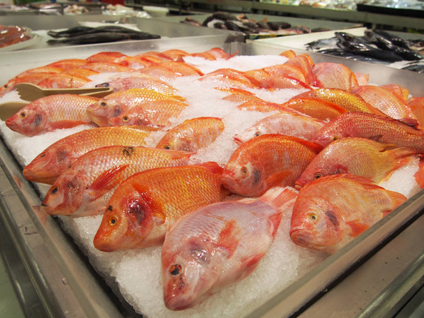tuoretta raakaa kalaa supermarketissa jäällä
 - Valokuva, kuva