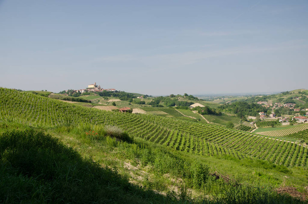 Landscapes of the roer in piedmont - Photo, Image
