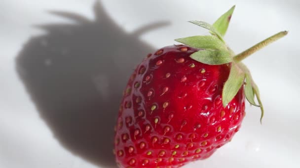frische Erdbeeren auf einem Teller, Nahaufnahme - Filmmaterial, Video