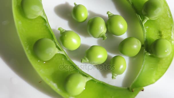 Ervilhas verdes, close-up em um fundo branco, prato
 - Filmagem, Vídeo