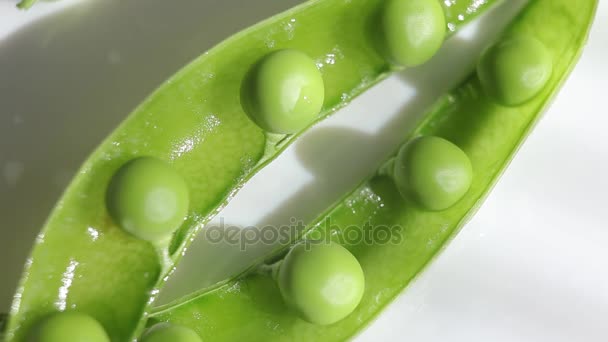 Ervilhas verdes, close-up em um fundo branco, prato
 - Filmagem, Vídeo