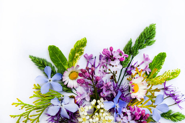 Colorful spring flowers isolated on white background. - Photo, Image