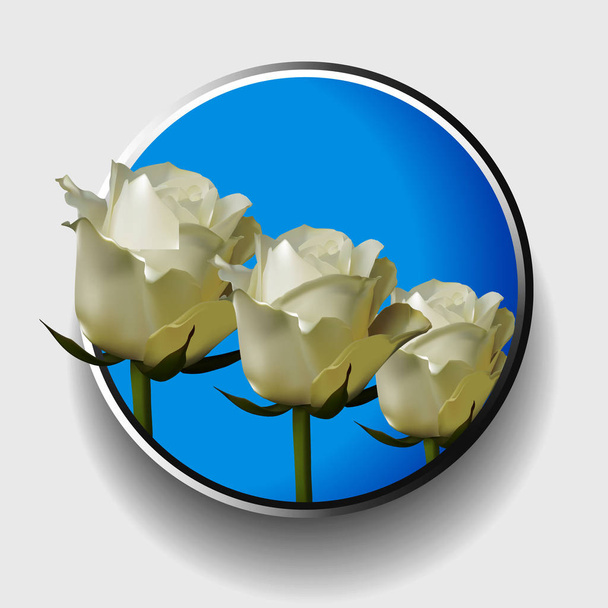 Trio of white roses over blue metallic border - Vector, Image