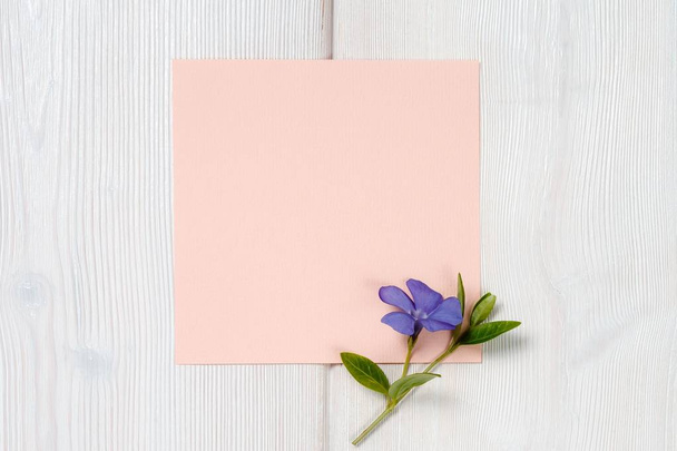 Blue flower and pink sheet on wooden background. - 写真・画像