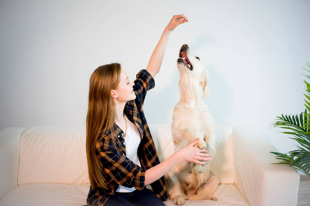 Woman with her dog - 写真・画像
