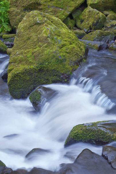 Nagy mohás sziklák rohanó folyó vízzel - Fotó, kép