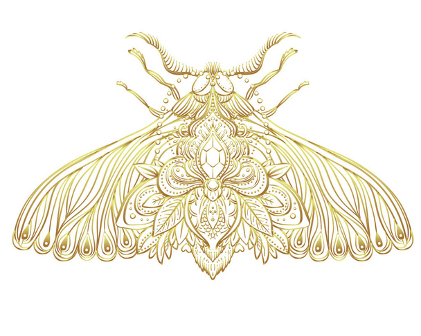 Gold and white decorative vector illustration of moth isolated o - Vector, Image