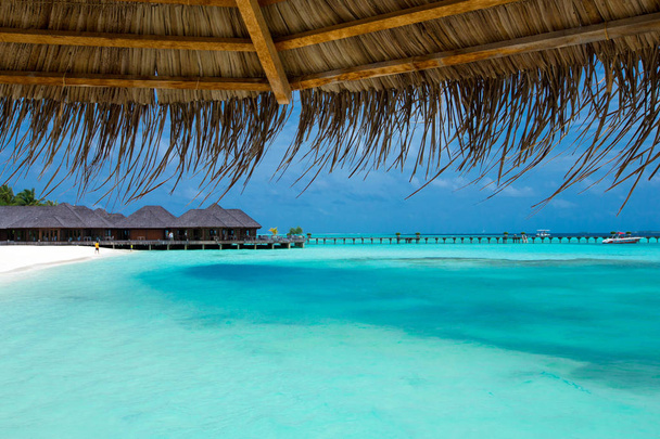 plage tropicale aux Maldives - Photo, image