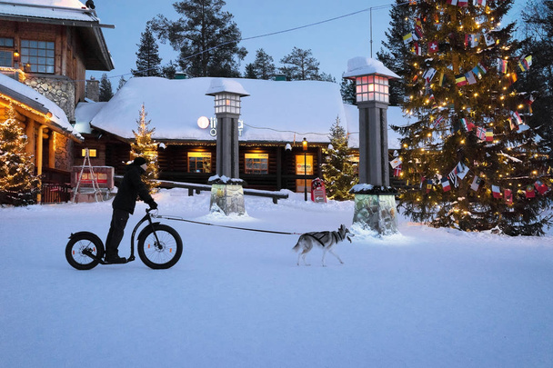 Homem de bicicleta e cavalgando husky em Santa Claus Village
 - Foto, Imagem