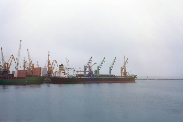 Cargo crane sea port - Foto, immagini