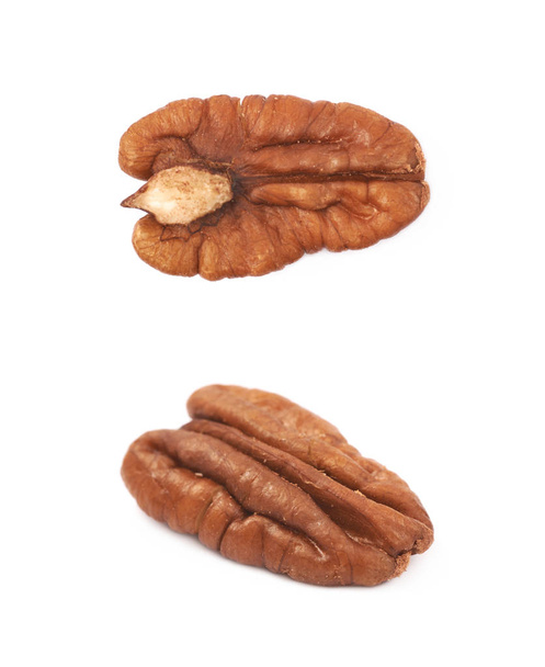 Single pecan nut isolated - Фото, зображення