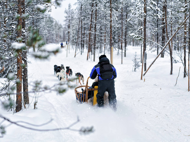 Family riding husky dogs sled in Finnish Lapland - Photo, Image
