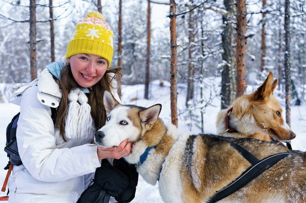 Ragazza e Husky cane in Lapponia finlandese
 - Foto, immagini