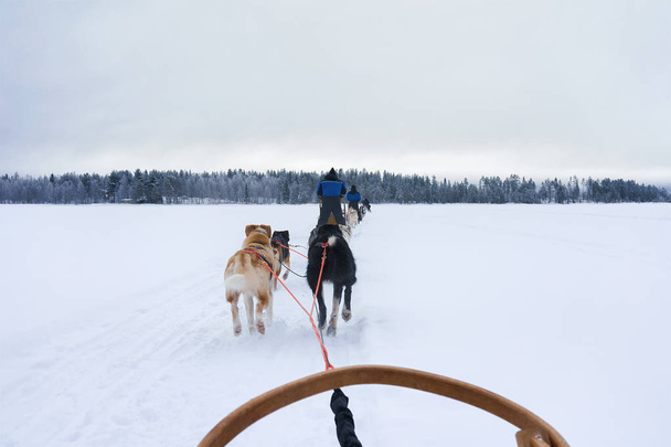 Husky köpekleri kızakları Lapland Finland içinde donmuş kış gölde - Fotoğraf, Görsel