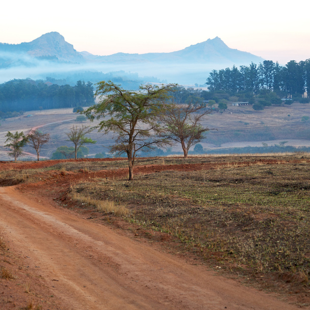   в Свазиленде заповедник
  - Фото, изображение