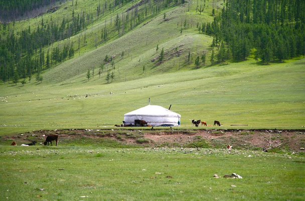 Le camp des ger dans le parc national Gorkhi-Terelj à Oulan-Bator, Mongolie
 - Photo, image