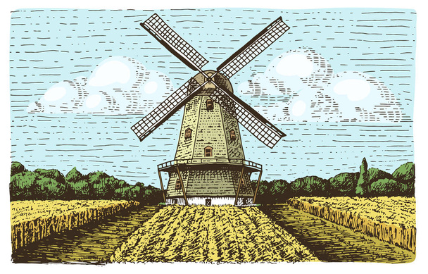 Větrný mlýn krajina v vintage, retro ručně kreslenými nebo ryté styl, lze použít pro pekařství logo, pšeničné pole s stará budova - Vektor, obrázek