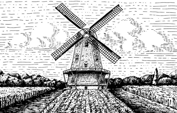 Windmill krajobraz w vintage, retro ręcznie rysowane lub grawerowane styl, może być użyty dla piekarni logo, pole pszenicy ze starego budynku - Wektor, obraz