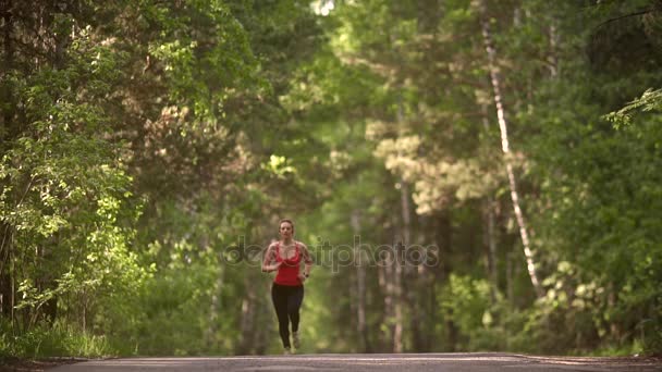 νεαρή γυναίκα τζόκινγκ στο δάσος καλοκαίρι. το κορίτσι πηγαίνει για σπορ ασύρματα ακουστικά. αθλητής με Αθλητική ένδυση. αργή κίνηση - Πλάνα, βίντεο
