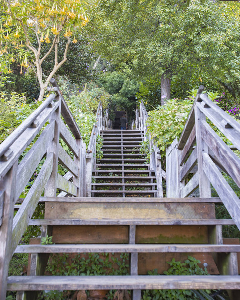 A szimmetria fa lépcsők a bolzákon - Fotó, kép