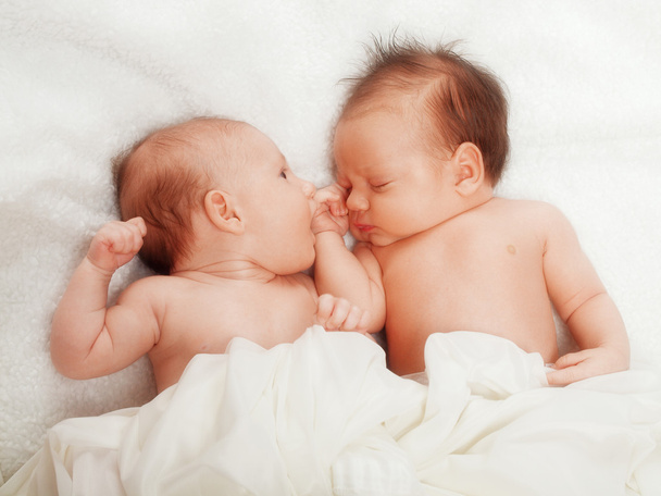 twee baby - Foto, afbeelding