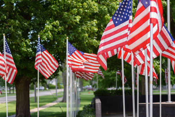 Amerikaanse vlaggen waait in park - Foto, afbeelding