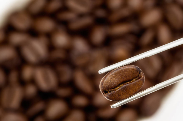 Alicates segurando feijão de café
  - Foto, Imagem