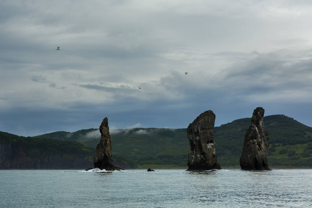 Three Brothers Rocks in the Avacha Bay of Pacific Ocean. Coast of Kamchatka. - 写真・画像