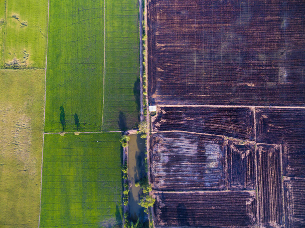 Letecký pohled na zelených rýžových polí a neobdělávané půdy - Fotografie, Obrázek