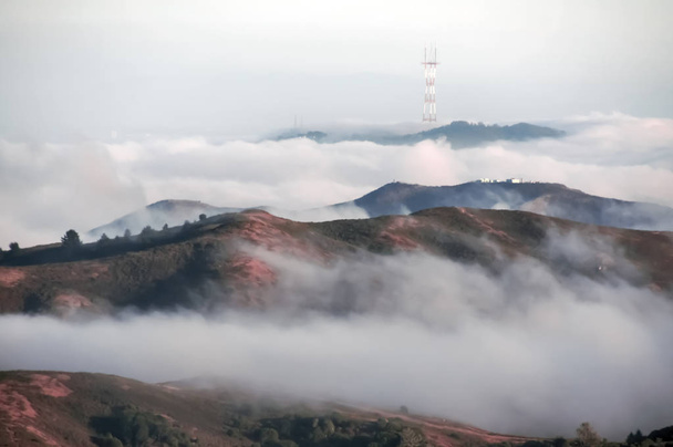 Twin Peaks i Mount Sutro z wieży Sutro we mgle. - Zdjęcie, obraz