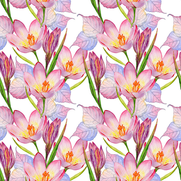 Wildflower crocuses  flower pattern in a watercolor style isolated. - Fotoğraf, Görsel