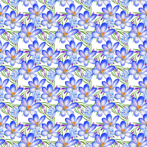 Wildflower crocuses  flower pattern in a watercolor style isolated. - Foto, afbeelding